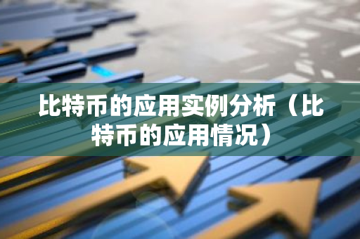 比特币的应用实例分析（比特币的应用情况）