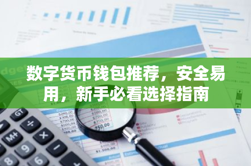 数字货币钱包推荐，安全易用，新手必看选择指南