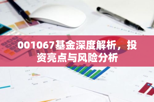 001067基金深度解析，投资亮点与风险分析