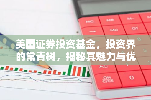 美国证券投资基金，投资界的常青树，揭秘其魅力与优势
