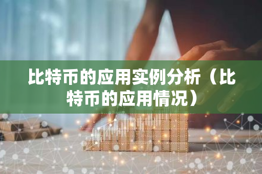 比特币的应用实例分析（比特币的应用情况）