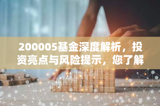 200005基金深度解析，投资亮点与风险提示，您了解多少？
