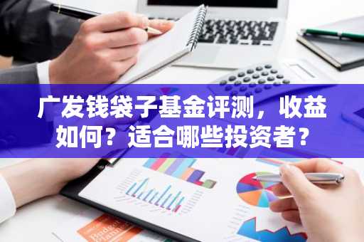广发钱袋子基金评测，收益如何？适合哪些投资者？