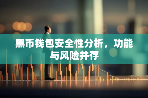 黑币钱包安全性分析，功能与风险并存