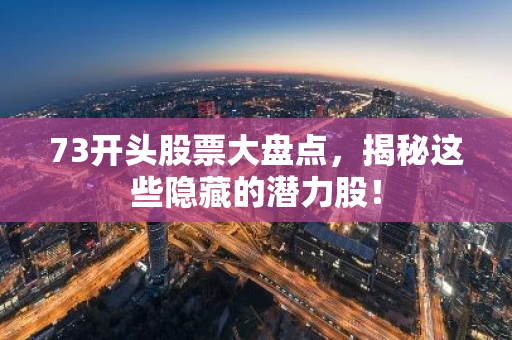 73开头股票大盘点，揭秘这些隐藏的潜力股！