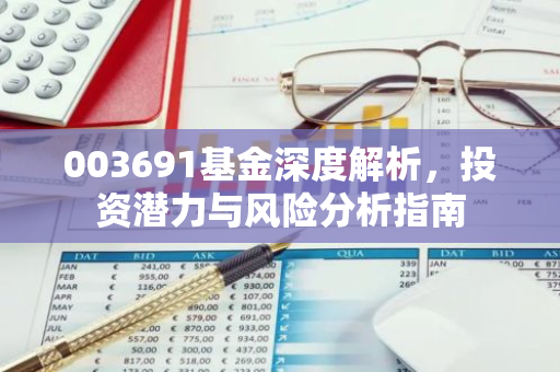 003691基金深度解析，投资潜力与风险分析指南