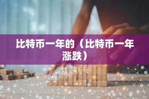 比特币一年的（比特币一年涨跌）
