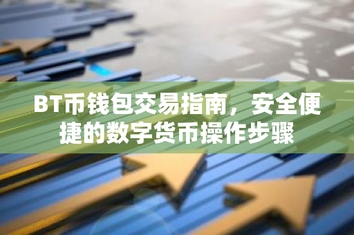 BT币钱包交易指南，安全便捷的数字货币操作步骤