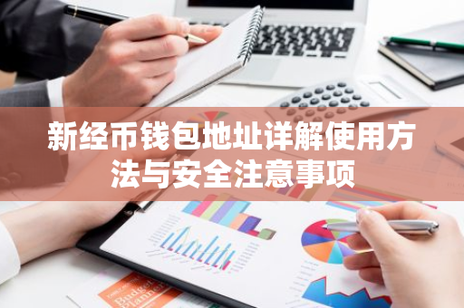 新经币钱包地址详解使用方法与安全注意事项