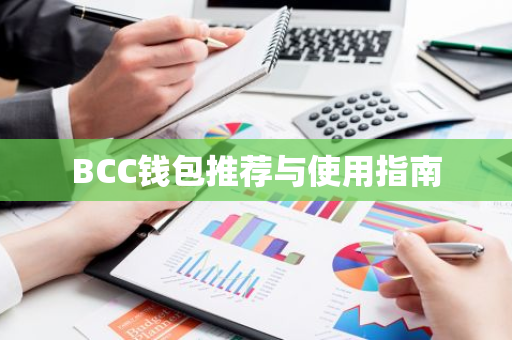 BCC钱包推荐与使用指南