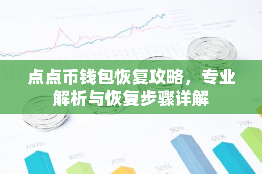 点点币钱包恢复攻略，专业解析与恢复步骤详解