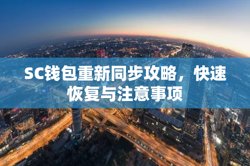 SC钱包重新同步攻略，快速恢复与注意事项