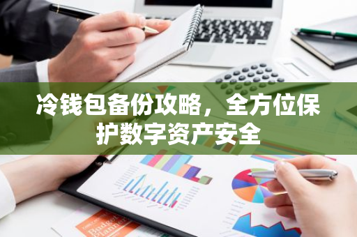 冷钱包备份攻略，全方位保护数字资产安全