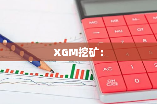 XGM挖矿：-第1张图片-智财锋资讯网