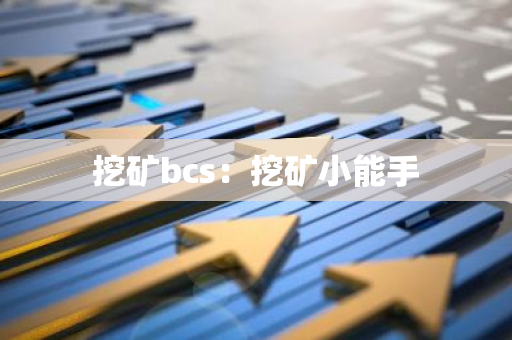 挖矿bcs：挖矿小能手