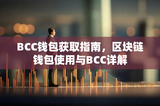 BCC钱包获取指南，区块链钱包使用与BCC详解-第1张图片-智财锋资讯网