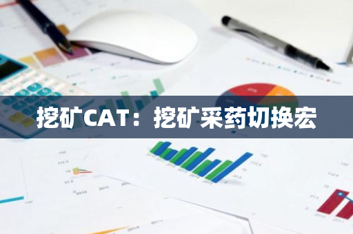 挖矿CAT：挖矿采药切换宏