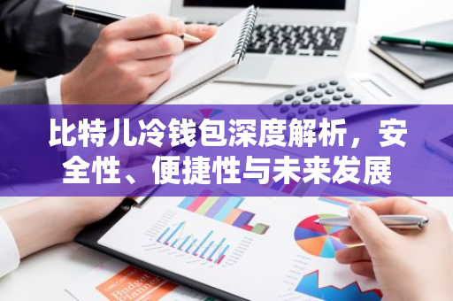 比特儿冷钱包深度解析，安全性、便捷性与未来发展-第1张图片-智财锋资讯网