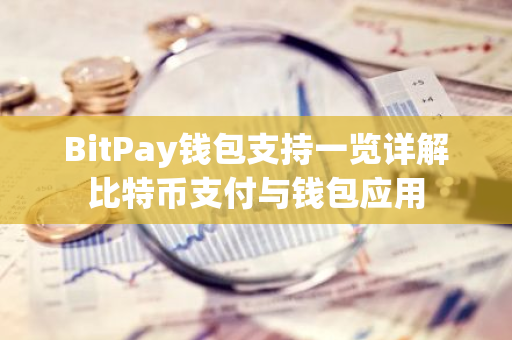 BitPay钱包支持一览详解比特币支付与钱包应用-第1张图片-智财锋资讯网