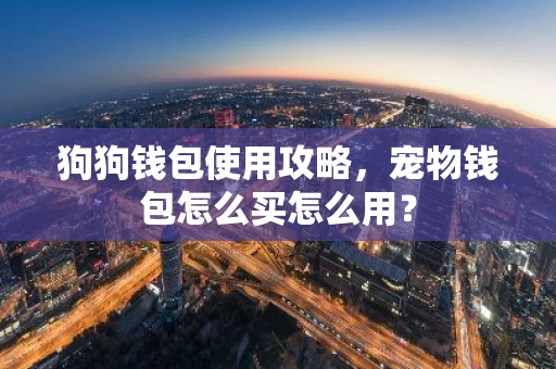 狗狗钱包使用攻略，宠物钱包怎么买怎么用？