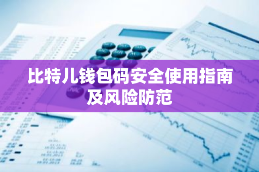 比特儿钱包码安全使用指南及风险防范