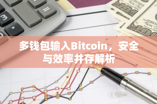 多钱包输入Bitcoin，安全与效率并存解析