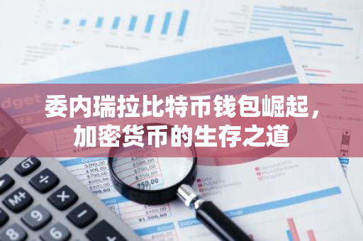 委内瑞拉比特币钱包崛起，加密货币的生存之道