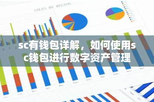 sc有钱包详解，如何使用sc钱包进行数字资产管理