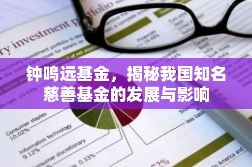 钟鸣远基金，揭秘我国知名慈善基金的发展与影响
