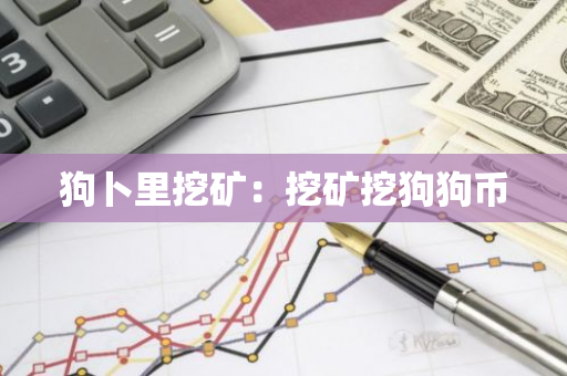 狗卜里挖矿：挖矿挖狗狗币-第1张图片-智财锋资讯网