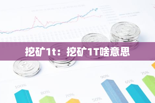 挖矿1t：挖矿1T啥意思
