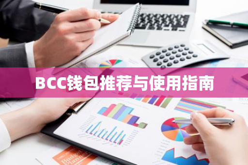 BCC钱包推荐与使用指南