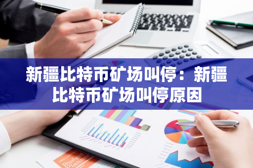 新疆比特币矿场叫停：新疆比特币矿场叫停原因