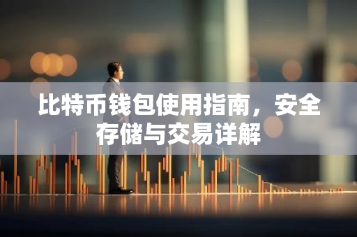 比特币钱包使用指南，安全存储与交易详解