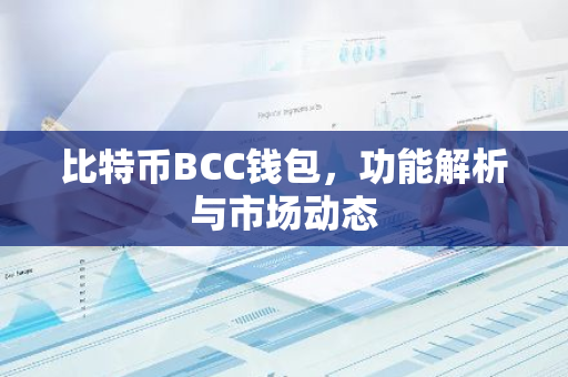 比特币BCC钱包，功能解析与市场动态