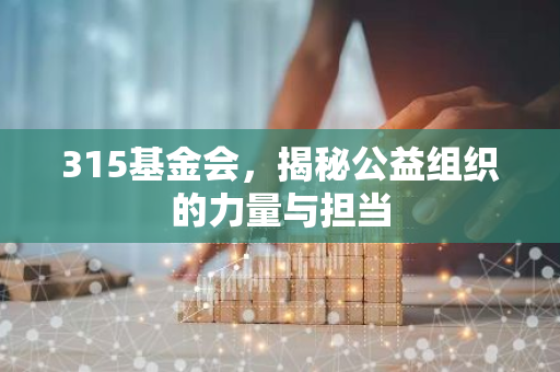 315基金会，揭秘公益组织的力量与担当