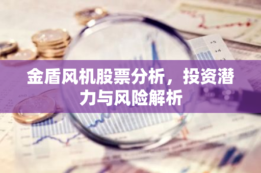 金盾风机股票分析，投资潜力与风险解析