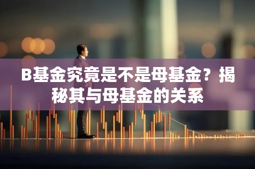 B基金究竟是不是母基金？揭秘其与母基金的关系