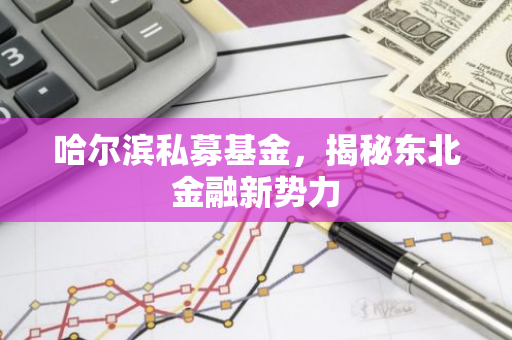 哈尔滨私募基金，揭秘东北金融新势力