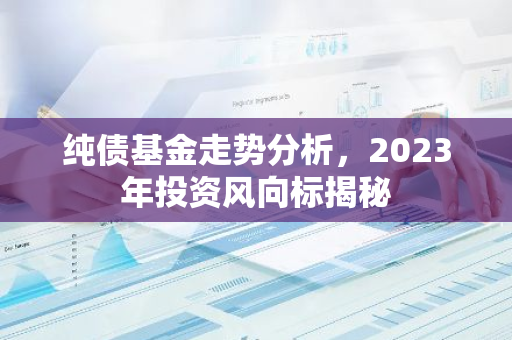 纯债基金走势分析，2023年投资风向标揭秘