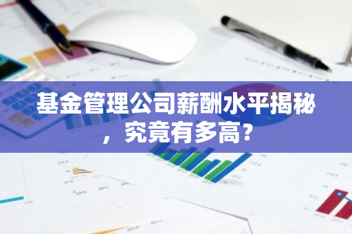 基金管理公司薪酬水平揭秘，究竟有多高？