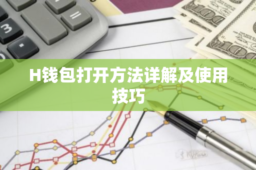 H钱包打开方法详解及使用技巧