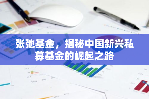 张弛基金，揭秘中国新兴私募基金的崛起之路