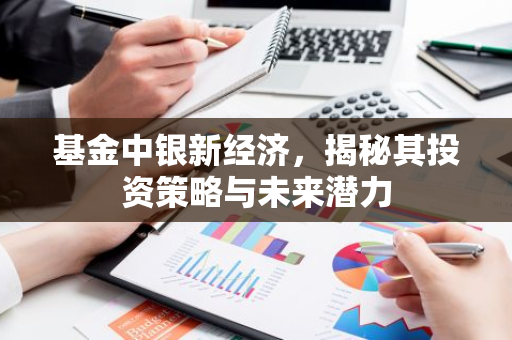 基金中银新经济，揭秘其投资策略与未来潜力