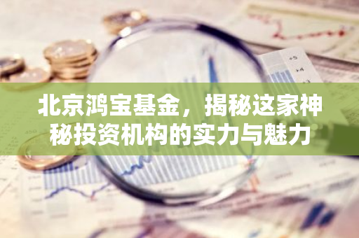 北京鸿宝基金，揭秘这家神秘投资机构的实力与魅力