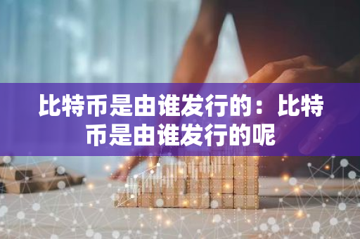 比特币是由谁发行的：比特币是由谁发行的呢