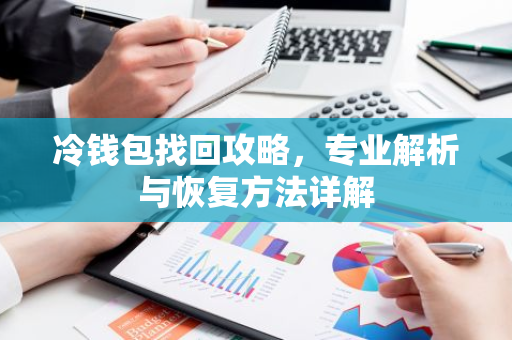 冷钱包找回攻略，专业解析与恢复方法详解
