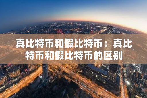 真比特币和假比特币：真比特币和假比特币的区别-第1张图片-智财锋资讯网