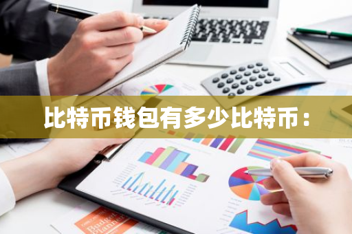 比特币钱包有多少比特币:-第1张图片-智财锋资讯网 比特币钱包有多少比特币:-第1张图片-智财锋资讯网