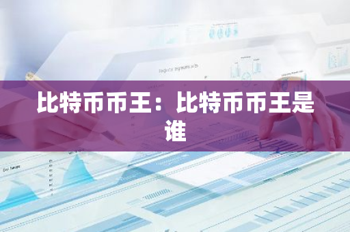 比特币币王：比特币币王是谁